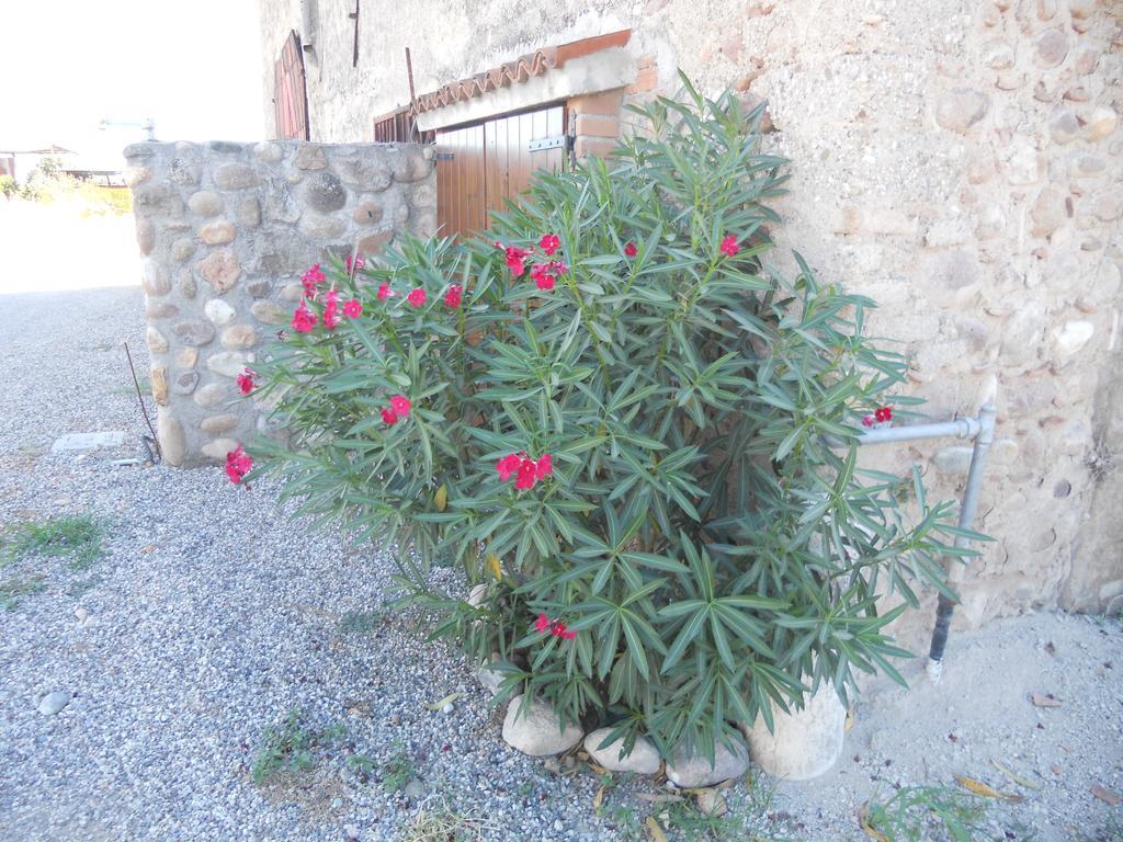Agriturismo Le Mura Del Gherlo Villa Valeggio sul Mincio Bagian luar foto
